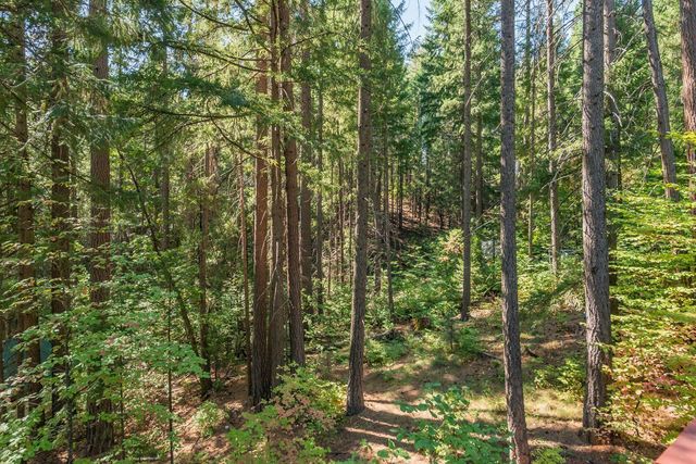 761 Lake Forest Drive, Trinity Center, CA 96091