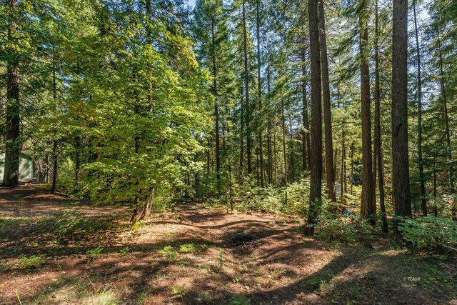 761 Lake Forest Drive, Trinity Center, CA 96091