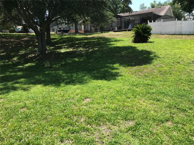 989 SCENIC VIEW CIRCLE, Minneola, FL 34715