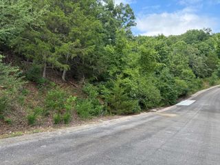 296 Emerald Isle Drive, Hollister, MO 65672