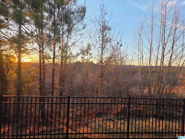 3083 CHELSEA PARK RIDGE, Chelsea, AL 35043