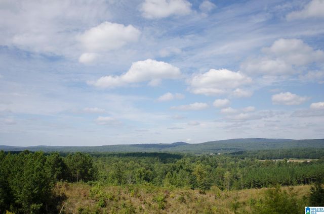 3083 CHELSEA PARK RIDGE, Chelsea, AL 35043