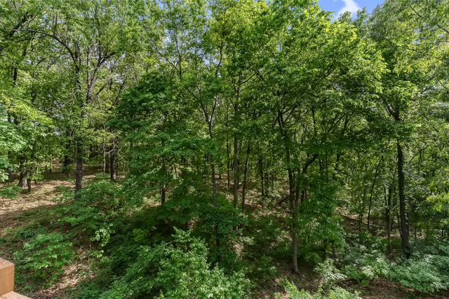 45 Stone Ridge Court, Strafford, MO 65757