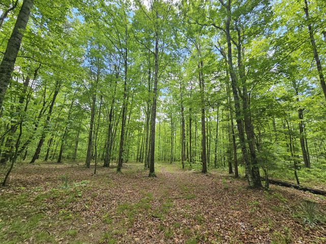 6 Beechwood Trail, Coalmont, TN 37313