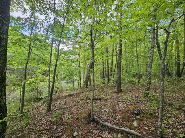 6 Beechwood Trail, Coalmont, TN 37313