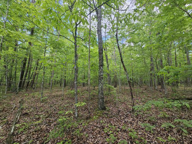 6 Beechwood Trail, Coalmont, TN 37313
