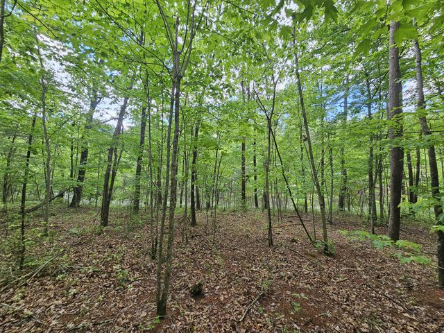 6 Beechwood Trail, Coalmont, TN 37313