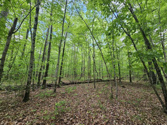 6 Beechwood Trail, Coalmont, TN 37313