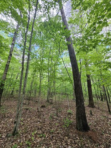 6 Beechwood Trail, Coalmont, TN 37313