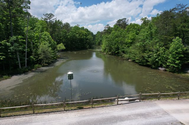 6 Beechwood Trail, Coalmont, TN 37313