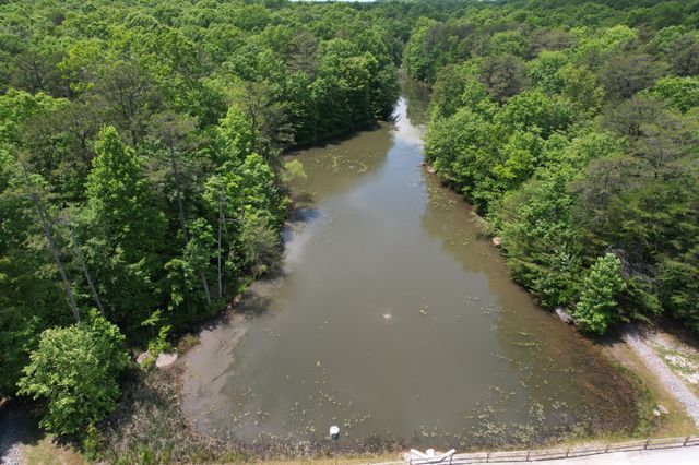 6 Beechwood Trail, Coalmont, TN 37313