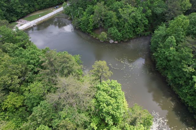 6 Beechwood Trail, Coalmont, TN 37313