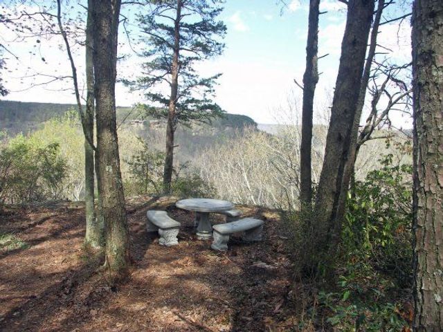 6 Beechwood Trail, Coalmont, TN 37313