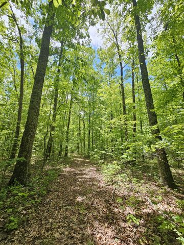 6 Beechwood Trail, Coalmont, TN 37313