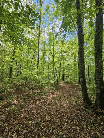 6 Beechwood Trail, Coalmont, TN 37313