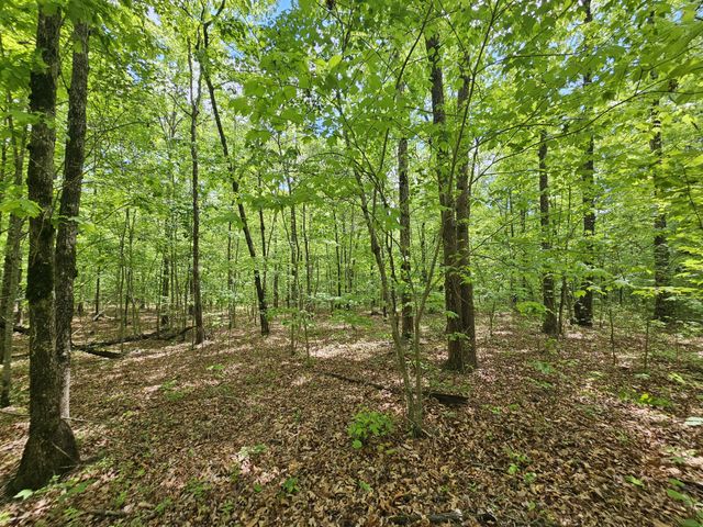 6 Beechwood Trail, Coalmont, TN 37313