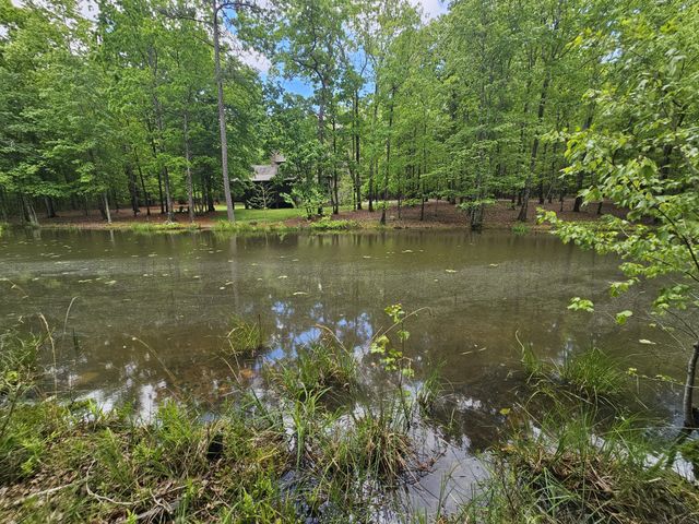 6 Beechwood Trail, Coalmont, TN 37313