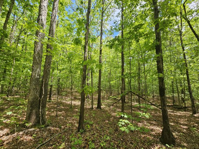 6 Beechwood Trail, Coalmont, TN 37313