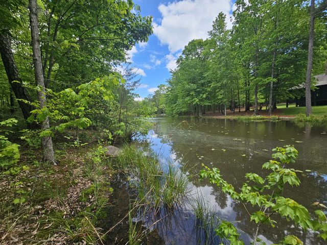 6 Beechwood Trail, Coalmont, TN 37313