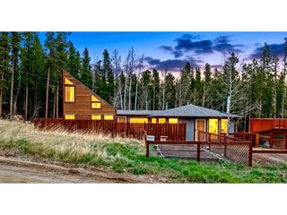 307 Dudes Dr, Rollinsville, CO 80474