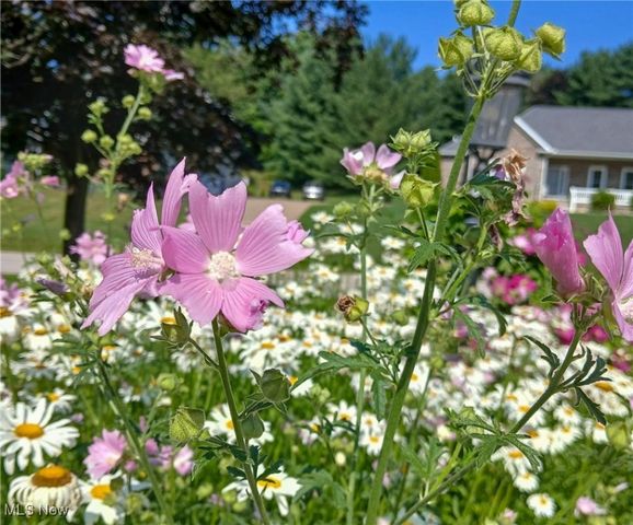 3523 Parfoure Boulevard, Uniontown, OH 44685