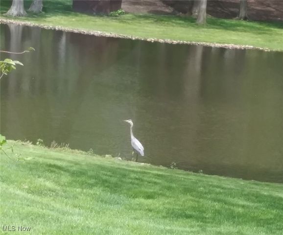 3523 Parfoure Boulevard, Uniontown, OH 44685