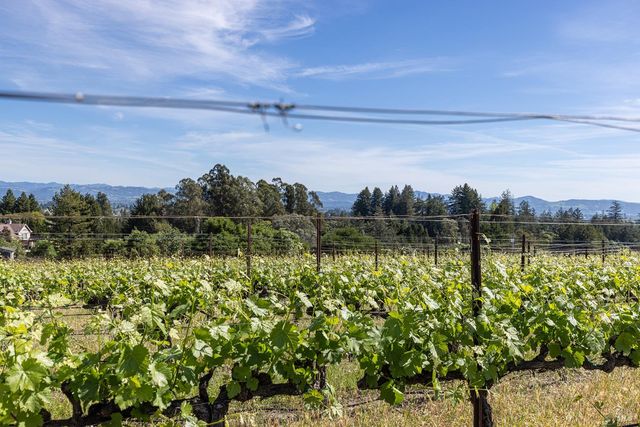 1365 Grandview Rd, Sebastopol, CA 95472