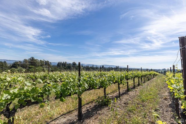 1365 Grandview Rd, Sebastopol, CA 95472