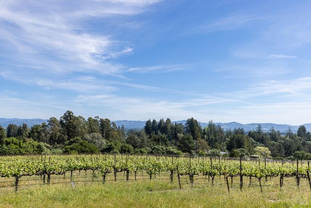 1365 Grandview Rd, Sebastopol, CA 95472