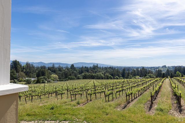 1365 Grandview Rd, Sebastopol, CA 95472