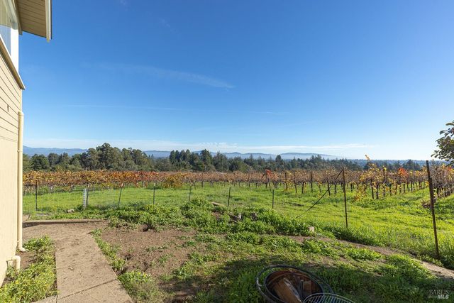 1365 Grandview Rd, Sebastopol, CA 95472