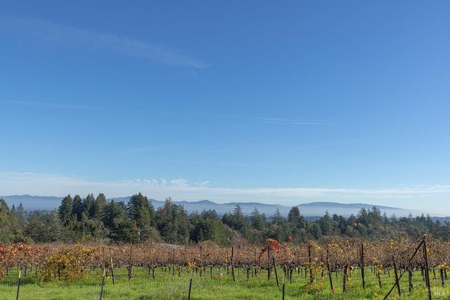 1365 Grandview Rd, Sebastopol, CA 95472