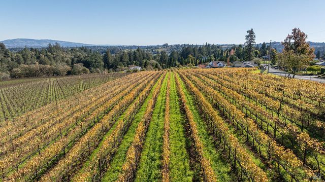 1365 Grandview Rd, Sebastopol, CA 95472