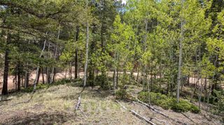 1058 Bennett Drive, Cripple Creek, CO 80813