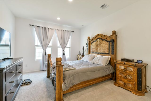 19702 Veneto Point Lane, Hockley, TX 77447