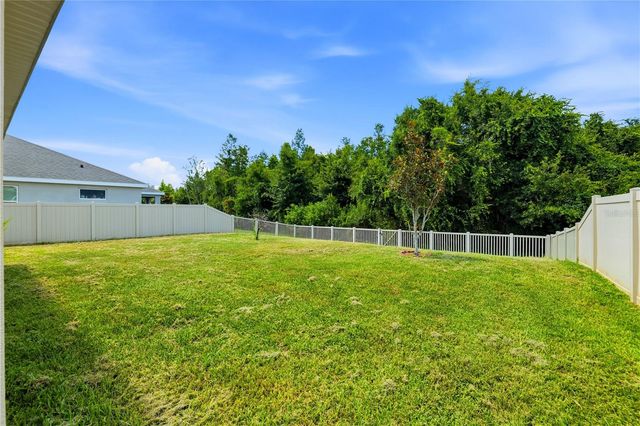 21439 SOUTHERN CHARM DRIVE, Land O Lakes, FL 34637