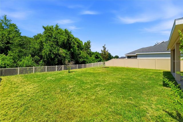 21439 SOUTHERN CHARM DRIVE, Land O Lakes, FL 34637