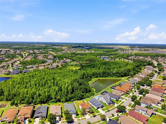 21439 SOUTHERN CHARM DRIVE, Land O Lakes, FL 34637