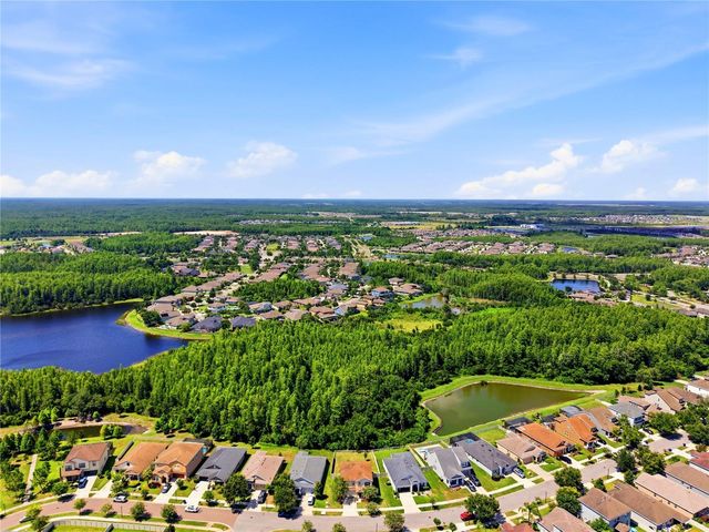 21439 SOUTHERN CHARM DRIVE, Land O Lakes, FL 34637