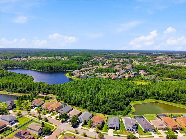 21439 SOUTHERN CHARM DRIVE, Land O Lakes, FL 34637
