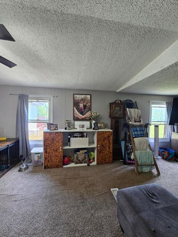 12495 5 Mile Road, Evart, MI 49631