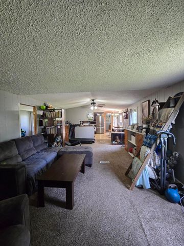 12495 5 Mile Road, Evart, MI 49631