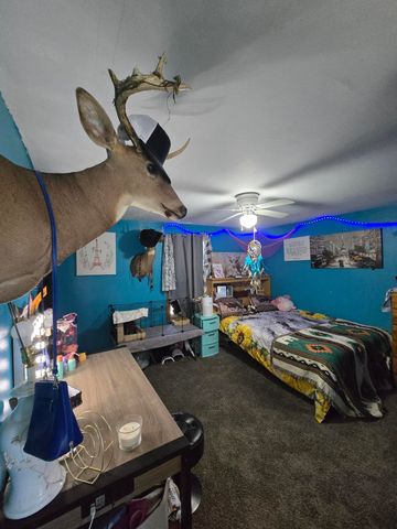 12495 5 Mile Road, Evart, MI 49631