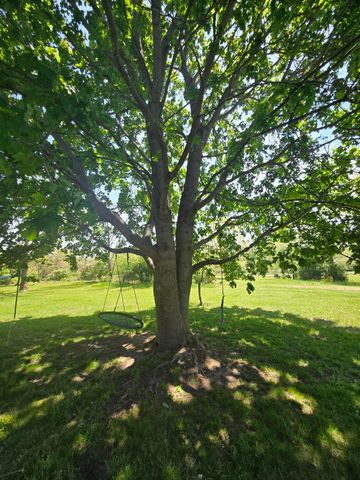 12495 5 Mile Road, Evart, MI 49631