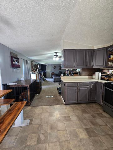 12495 5 Mile Road, Evart, MI 49631