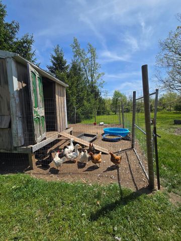 12495 5 Mile Road, Evart, MI 49631