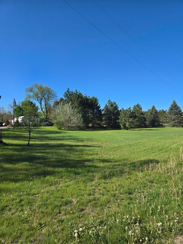 12495 5 Mile Road, Evart, MI 49631