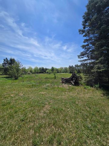12495 5 Mile Road, Evart, MI 49631