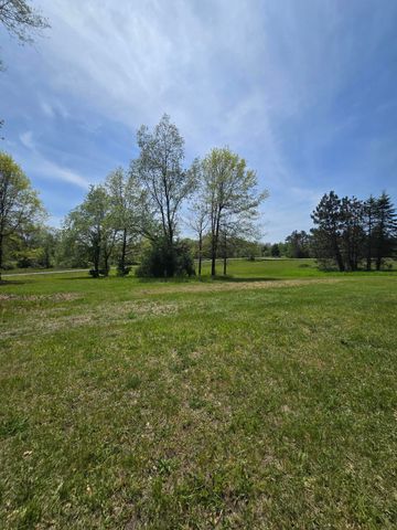 12495 5 Mile Road, Evart, MI 49631