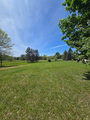 12495 5 Mile Road, Evart, MI 49631
